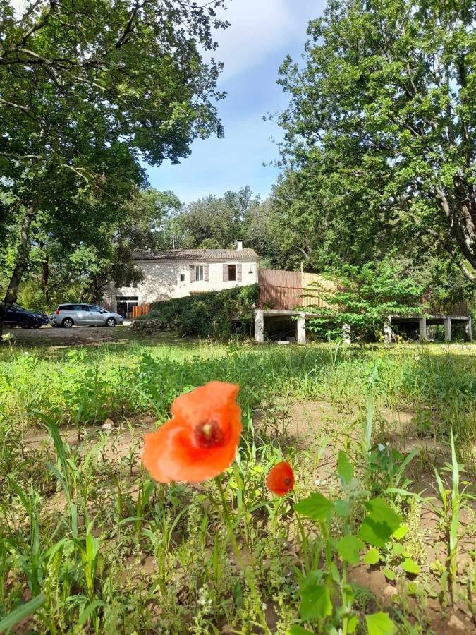 Le Mas Du Coquelicot Dions Exterior foto